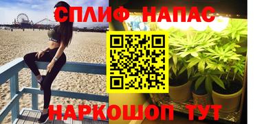 ALPHA PVP Моздок