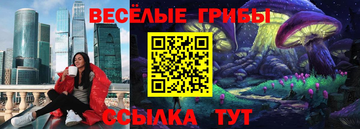 Псилоцибиновые грибы мицелий Тулун